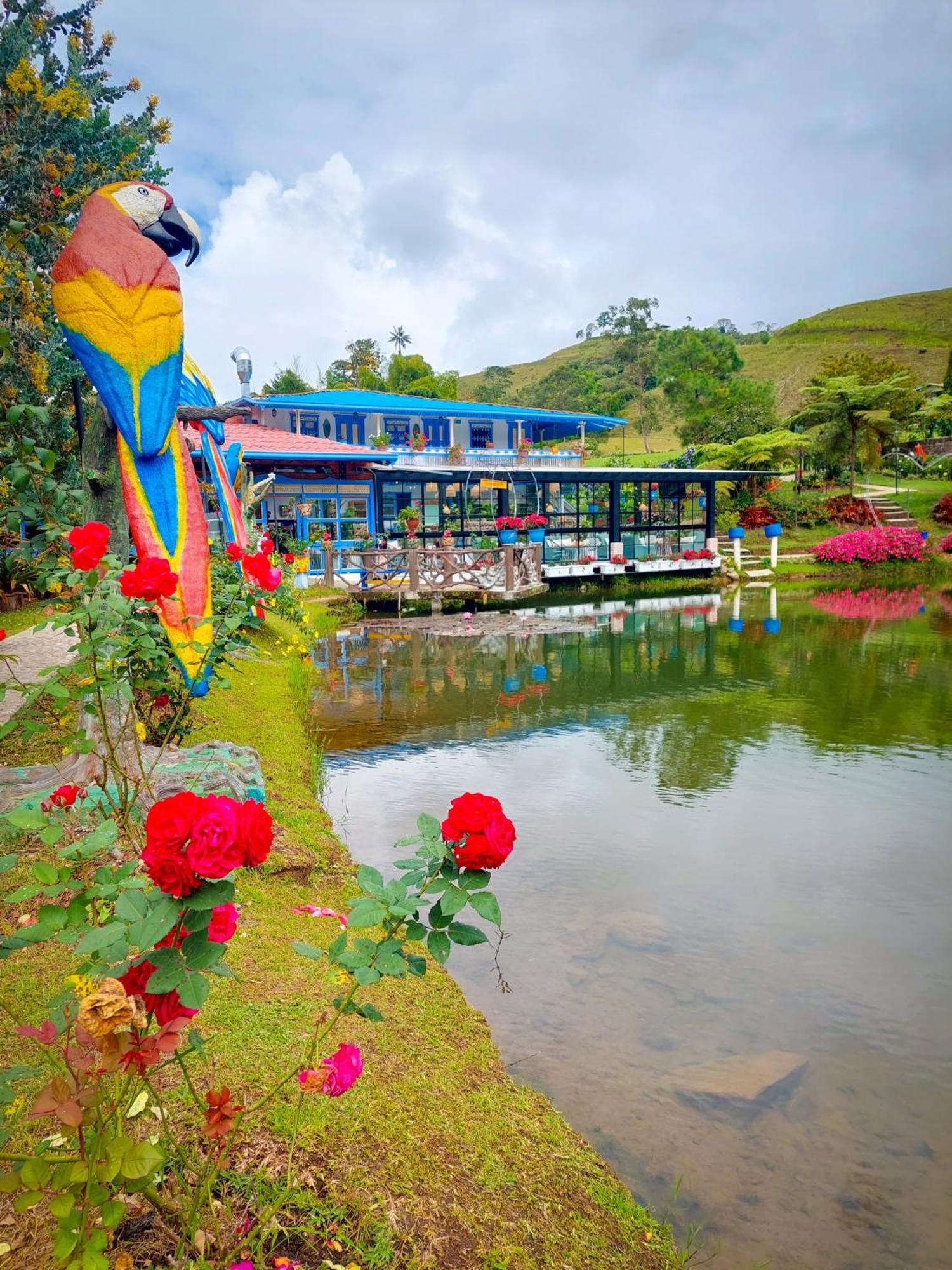 Hotel Lago Valdivia Jardín Eksteriør billede
